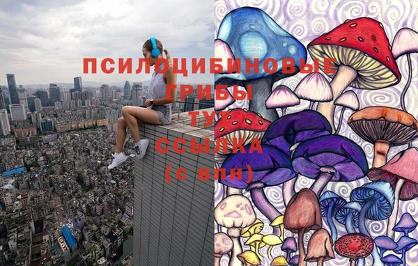 хмурый Чекалин