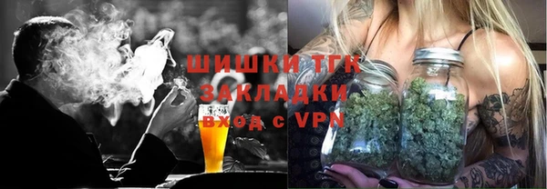 прущие грибы Березники