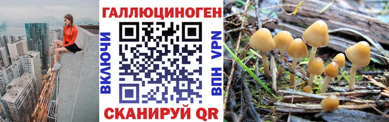 Псилоцибиновые грибы MAGIC MUSHROOMS  Балаково 