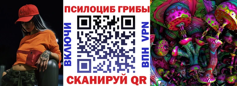 Галлюциногенные грибы Psilocybine cubensis Балаково