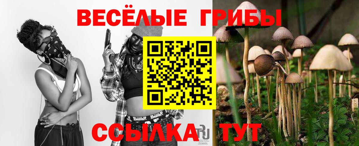 Балаково  Псилоцибиновые грибы Magic Shrooms  Вход с VPN 