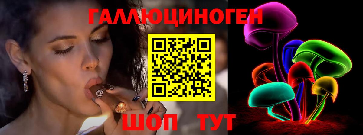 Псилоцибиновые грибы GOLDEN TEACHER Балаково