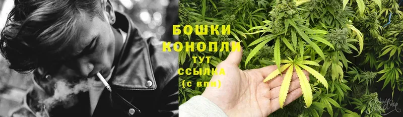 Бошки Шишки OG Kush  купить  цена  Балаково 